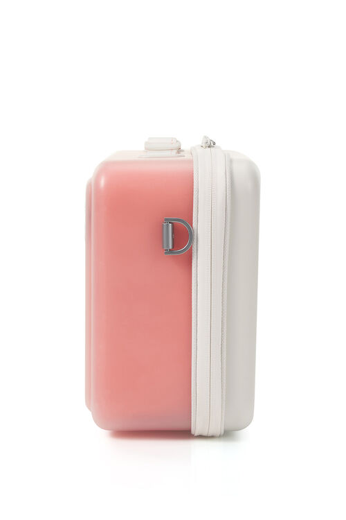 Samsonite discount shoe bag