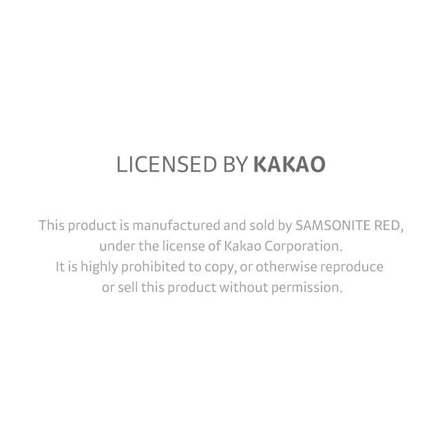 LITTLE FRIENDS little RYAN SP 69/25 E